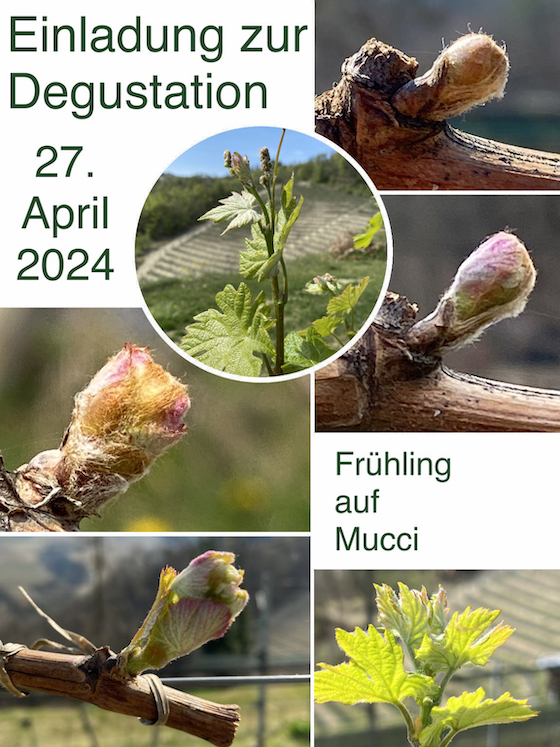 Einladung zur Degustation 27. April 2024